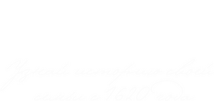 Один день из жизни генеалога
